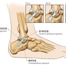 숲속부부한의원 이미지