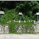 강진10호 이미지