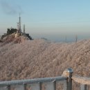 완산-115 이미지