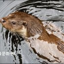 서울면일초등학교 | 서울 중랑구 수영장 추천 면일체육문화센터 깔끔한 시설과 합리적 가격이 돋보임