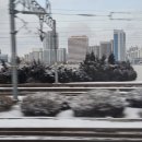 떡사랑떡집 이미지