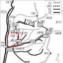 베르치아
