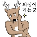 천안조화