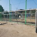 신북초교 이미지