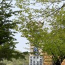 기산사 | 양주 오리백숙먹으러 기산리맛집 기산약수촌 다녀온 찐 후기