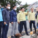 강진8호 이미지