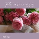 플라워솜솜