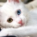 예쁜eye안경원 이미지