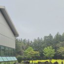 큰퐁낭식당 | 제주 에코랜드 맛집 이효리 방문 교래퐁낭 본관 사려니숲길,산굼부리 근처 쌈정식 맛집