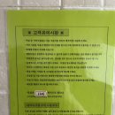 일박펜션 | 춘천 지암리 알프스 밸리 사계절 눈썰매장 근처 엠티 숙소 일박 펜션 후기 - 저렴하게 예약하는 꿀팁