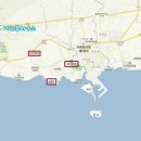 제주배또롱 이미지