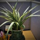 위더스행정사사무소 이미지