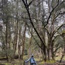 죽도형제종합유통 | 해외 백패킹 오버랜드 트레킹 4일차, 펠리온에서 키아오라까지