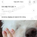 도라오라
