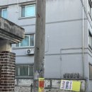 그린타운 | 춘천냉삼 맛집 퇴계동 <오소냉삼> 재방문 후기
