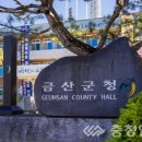 보석천 충청일보