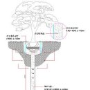 2. 정상적이고 애정이 담긴 굴취.운반,식재및 식재 후 관리 이미지