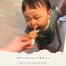 포크 | 열탕가능아기수저 잼버스꼬꼬노리머시멜로플러스스푼포크세트 후기