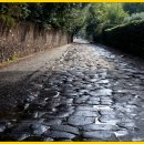 도미네로 이미지