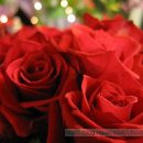 동양화원 이미지