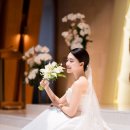 짙은포토그라피