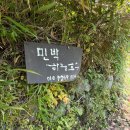 애플쉼터 | 하동 치앙마이 카페 하늘호수차밭쉼터 이색여행코스 추천