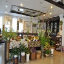 풀잎속의생명 이미지