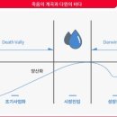 자신은 정작 스피드 컨셉 강탈한 민희진 이미지