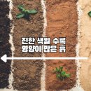 이랑농장 네이버블로그