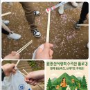 씨유원광대병원신관점 | 수리산 플로깅 후기, 원광대산본병원 산악회 활동으로...자연을 함께 챙긴 하루 - 신관8병동 책임간호사