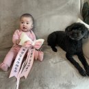 유누하우스 네이버블로그