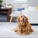 LG 서비스센터(구미) 이미지