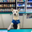 예진카 | 꽃신신은 곰신이 대신 쓰는 대한민국 육군 만기전역 후기