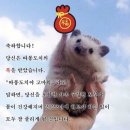씨유(CU)용당덕진점 | [막.대.주] ep.3 헬스시작 ➡️ 일과 삶의 균형 찾기_추석연휴, 내 미니미 만들기, 엽떡, 이번년도 목표...
