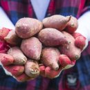 마이유기질비료 이미지