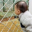 대천천누리길 화장실 이미지