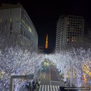 세븐일레븐 대구미래점 | 일본 [도쿄여행] 1일차 - 시부야 크로싱, 몬자 쿠우야 시부야, 시부야 스카이로비 무료전망대, 롯폰기...