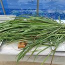 요한농장 이미지