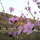 반디지역아동센터 이미지