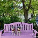 송우현의 파주 국물없는 우동 이미지