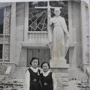 자매수예점 이미지