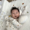 일공칠디자인 이미지