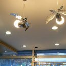 도그미용실 이미지