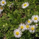 광제목장 | 보령 오서산~백월산
