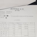 산지송이