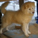 솔향펜션 이미지