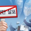 전단