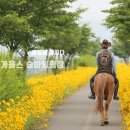 꽃길을 따라서 체험학습장 이미지