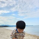 [대진 해수욕장 강원도 묵호] 묵호 대진해수욕장 솔직 후기! 조용하게 바다 멍하기 좋은 숨은 힐링 명소