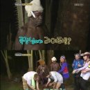 족장 이미지